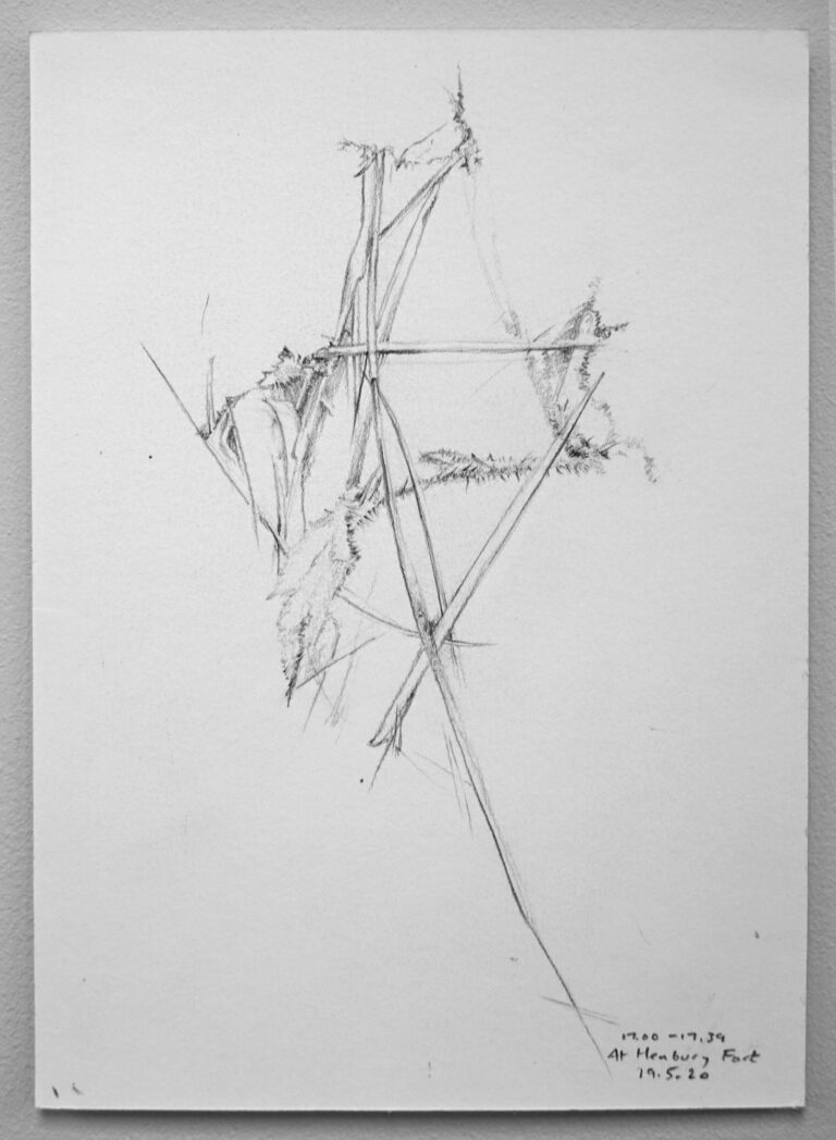 Wild Clump 2. At Henbury Fort.  19th May 2020. Charcoal on  paper. 148x210mmlery